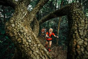 BIB: 
                            <button type="button" onclick="openModal(25669406)" class="btn btn-primary btn-sm float-right btn-popup" data-toggle="modal" data-target=".modal-high-quality">
                        <i class="fas fa-shopping-cart"></i> Add to Cart
                    </button>
                                            <button type="button" onclick="isThisMe(25669406, true)" class="btn btn-success btn-sm float-right btn-popup btn-isme hidden" data-toggle="tooltip" data-placement="bottom" title="นี่คือรูปของคุณใช่ไหม คลิกที่นี่เพื่อเอาเข้าอัลบั้ม">
                        <i class="fas fa-plus"></i> Add to album
                    </button>
                    <button type="button" onclick="isThisMe(25669406, false)" class="btn btn-warning btn-sm float-right btn-popup btn-isnotme hidden">
                        <i class="fas fa-ban"></i> Remove from album
                    </button>